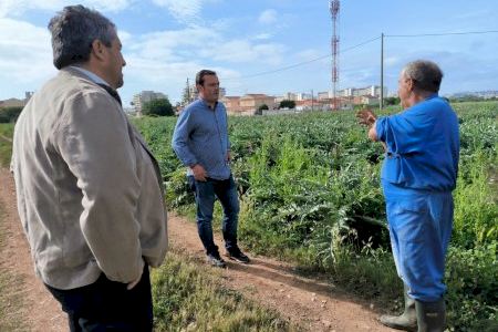 Peñíscola acuerda con los agricultores mejorar la seguridad en el campo y estudiar posibles bonificaciones fiscales para fincas cultivadas