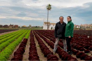 Demolidora dada en el camp valencià: només hi ha 19 dones inscrites en el registre d'explotacions agràries