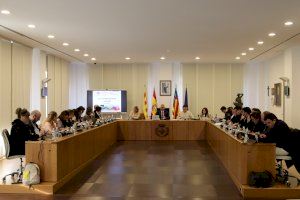 Vila-real aprova en ple el pagament de les factures pendents de l'Escola Infantil Municipal El Solet