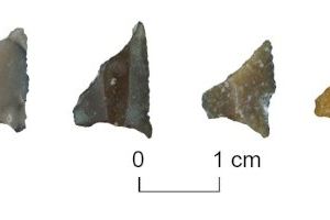 La fabricació de puntes de projectil tallades amb forma de trapezi va irrompre fa 8.500 anys en la península Ibèrica