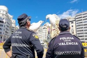 Violencia de género en las Fallas de Valencia: agrede a su esposa con su bebé en un bar
