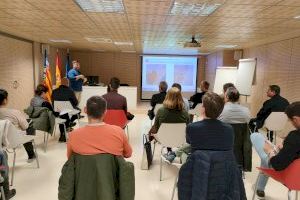 La Diputación de Castellón reúne a los ayuntamientos de la provincia para mejorar la coordinación de las actuaciones contra los mosquitos