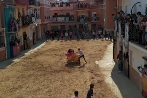 La Vall d'Uixó exhibirà deu bous salvatges en Sant Vicent Ferrer: horaris i ramaderies