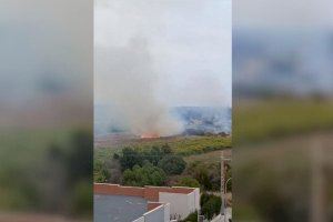 Incendi de vegetació al costat del col·legi Hortolans de Borriana