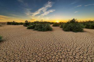 Sostenibilidad en el campo: medidas cruciales para la agricultura frente a las sequías