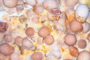 Sorprendente uso de la cáscara del huevo: serán materias primas para el calzado y la cerámica