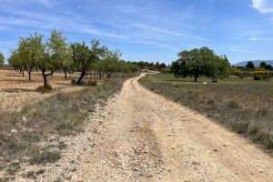 València i Conca es ‘acosten’ amb la millora d'una carretera que les connecta