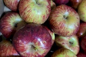 Cebollas, uvas y manzanas fuji: Estos son los alimentos con IVA rebajado que más han subido de precio en el último mes