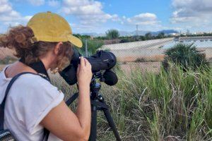 La Asociación de Guías de Birding de la Comunitat Valenciana promociona el turismo ornitológico en el interior de Valencia