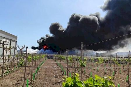 VIDEO | Se declara un incendio en una empresa de uvas entre Novelda y Monforte