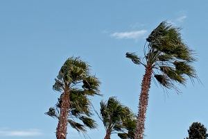 Alerta per vent a Castelló: l'interior nord aconseguix els 130 km/h