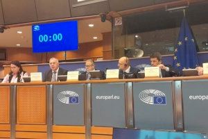 Representantes de organizaciones agrarias y de cooperativas llevan a Bruselas las reivindicaciones de los agricultores