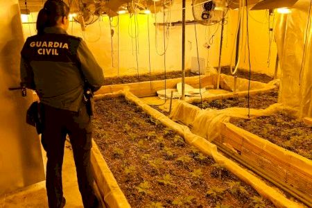Macro operación contra la droga en dos poblaciones de Valencia: armas, plantaciones de marihuana, cocaína, hachís y una fortuna económica