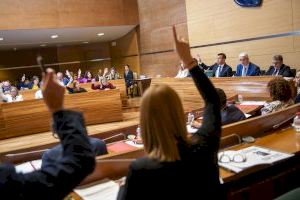La Diputació de València aprova una moció conjunta en defensa del dret civil valencià