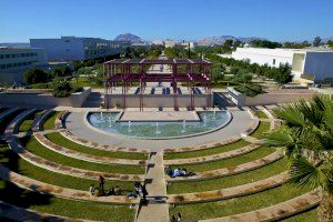 Alicante acogerá este año la jornada autonómica de Servicios Sociales: fecha y ubicación