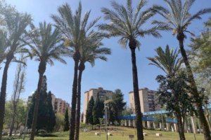 Temperatures més suaus i vents forts este dijous en la Comunitat Valenciana