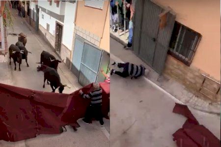 VIDEO | Susto y percance en la entrada de vaquillas de un pueblo de Valencia