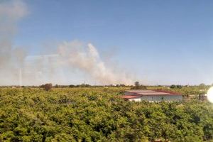 Incendi en una zona d'horts entre Borriana i Vila-real: el foc ha arrasat tres hectàrees