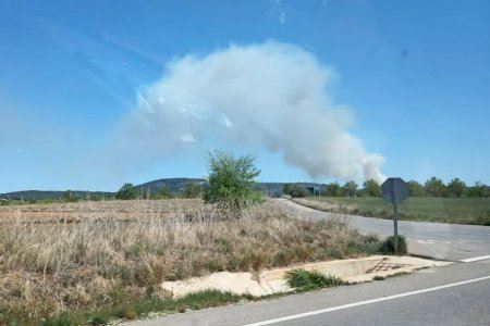 Mobilitzats mitjans aeris i terrestres contra un incendi forestal a Cabanes
