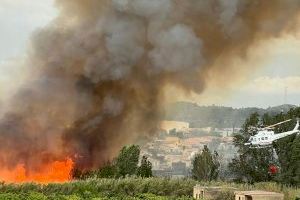 VIDEO | Los bomberos luchan contra un incendio forestal declarado en Riba-roja de Túria