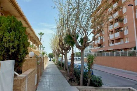 El Ayuntamiento de Alboraya aborda una serie de mejoras en La Patacona sobre jardinería y urbanismo