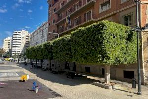 El Pla de renaturalització de Castelló suma 40.000 flors i 407 nous arbres en l'aposta per una ciutat més verda i sostenible