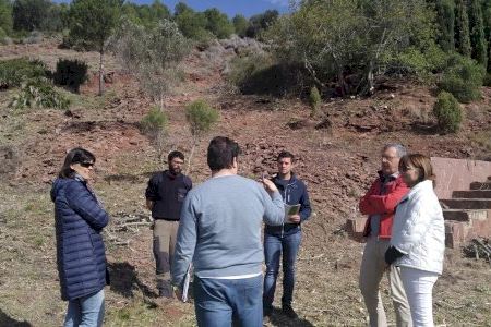 Benicàssim refuerza las actuaciones en la interfaz urbana-forestal de las urbanizaciones de Montornés, La Parreta y Las Palmas