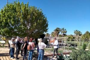 Del 6 al 8 de mayo, curso técnico sobre jardinería sostenible en El Campello
