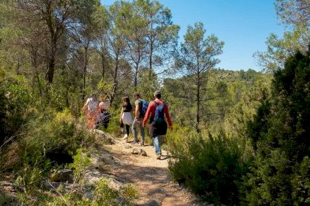 Seis planes para disfrutar en familia en la provincia de Castellón