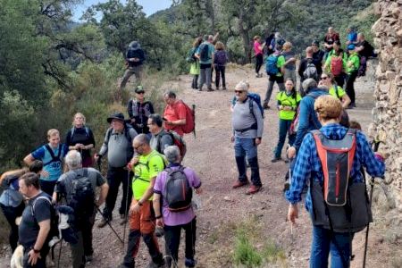 Celebración exitosa del día del Senderista en Alfondeguilla: unión y naturaleza en la Serra d'Espadà
