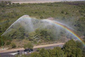 3.000 litres d'aigua al minut: València activa els canons anti incendis en El Saler