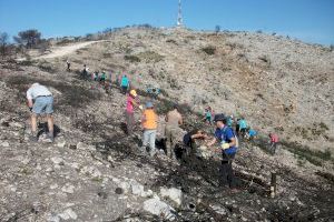 Así renace la naturaleza tras un incendio: Organizan rutas senderistas por la Serra Perenxisa