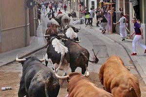 Este municipi de Castelló serà plaça de primera en el món dels bous al carrer este mes de maig
