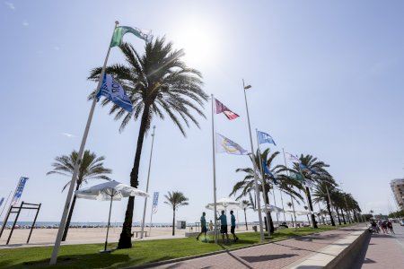 Gandia reafirma su liderazgo en calidad turística al renovar la bandera azul en las playas Nord y del Auir