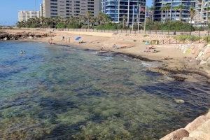 Torrevieja renueva las seis banderas azules de sus playas