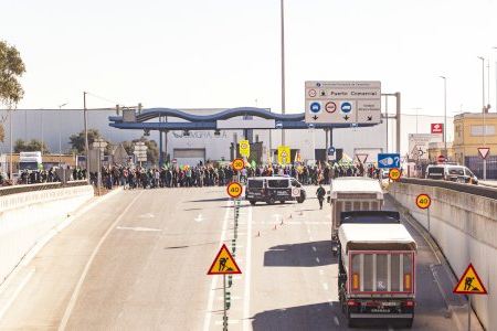 Cítrics egipcis inunden ports espanyols: Importacions disparades amenacen el mercat nacional