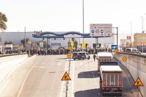 Cítrics egipcis inunden ports espanyols: Importacions disparades amenacen el mercat nacional