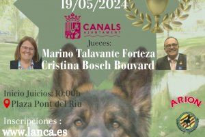 Canals se prepara para el ‘I Concurso Nacional Canino’