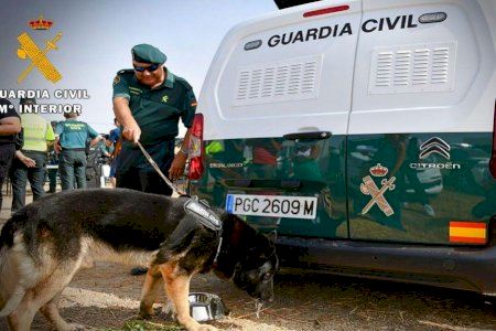 Brazo humano hallado por un perro en Xixona: La Guardia Civil rastrea la zona en busca del resto del cuerpo