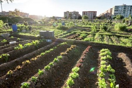 L'Ajuntament de València obri el termini per a sol·licitar l'ús de 48 horts urbans pròxims al Parc de la Rambleta