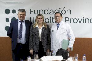 La Diputació reconeix la labor de la Fundació Hospital Provincial amb el Mèrit Solidari en el Dia de la Província
