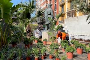 Castelló millorarà la plaça de la Pau substituint la gespa artificial per natural i plantarà entorn de 500 flors de temporada