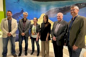 El Ayuntamiento de Elche se suma a la celebración del Día Internacional de los Museos