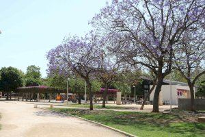 Més de 800 arbres han sigut apadrinats per joves a través del programa Arrela't a Catarroja