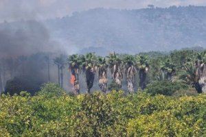 VÍDEO | Un incendi genera una intensa fumera a Gandia