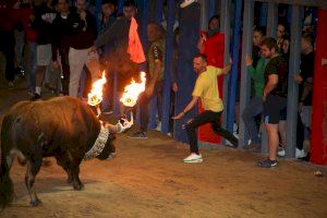 GALERIA | Els David's triomfen a Vila-real amb la nit de bous embolats per Sant Pasqual