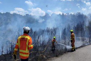Incendi forestal a Montroi (València)