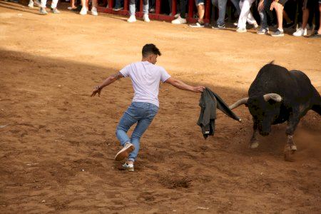 GALERIA | Almassora gaudix de la primera jornada del bou per la vila de les festes de Santa Quitèria