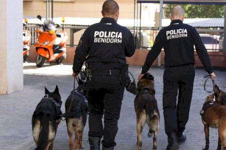 Detenido por un presunto delito contra la salud pública en una actuación conjunta de las Policías Local y Nacional en dos clubs cannábicos