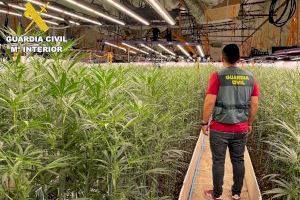 ¿Qué pasa con la droga tras ser incautada por la Guardia Civil? Este es el protocolo secreto que nunca se ve